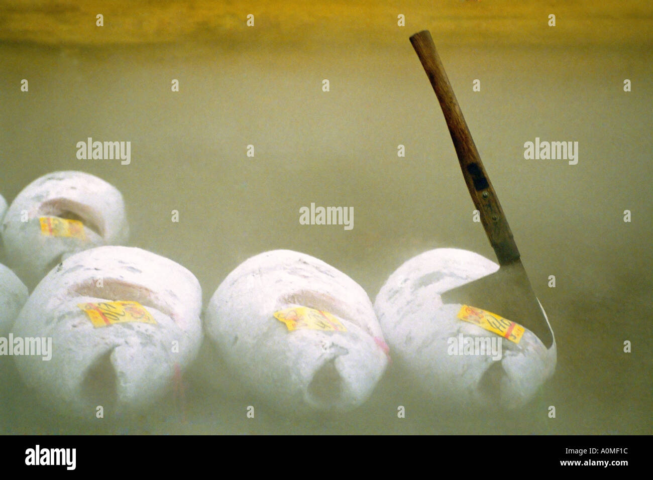 An ax in frozen tuna at Tsukiji Fish Market Tokyo Japan Stock Photo - Alamy