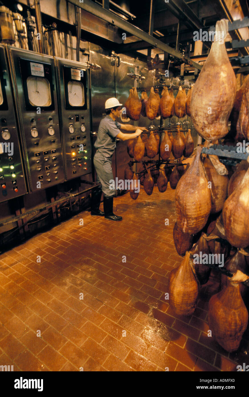 ham meat processing plant factory Hams smoked smoking oven prepare