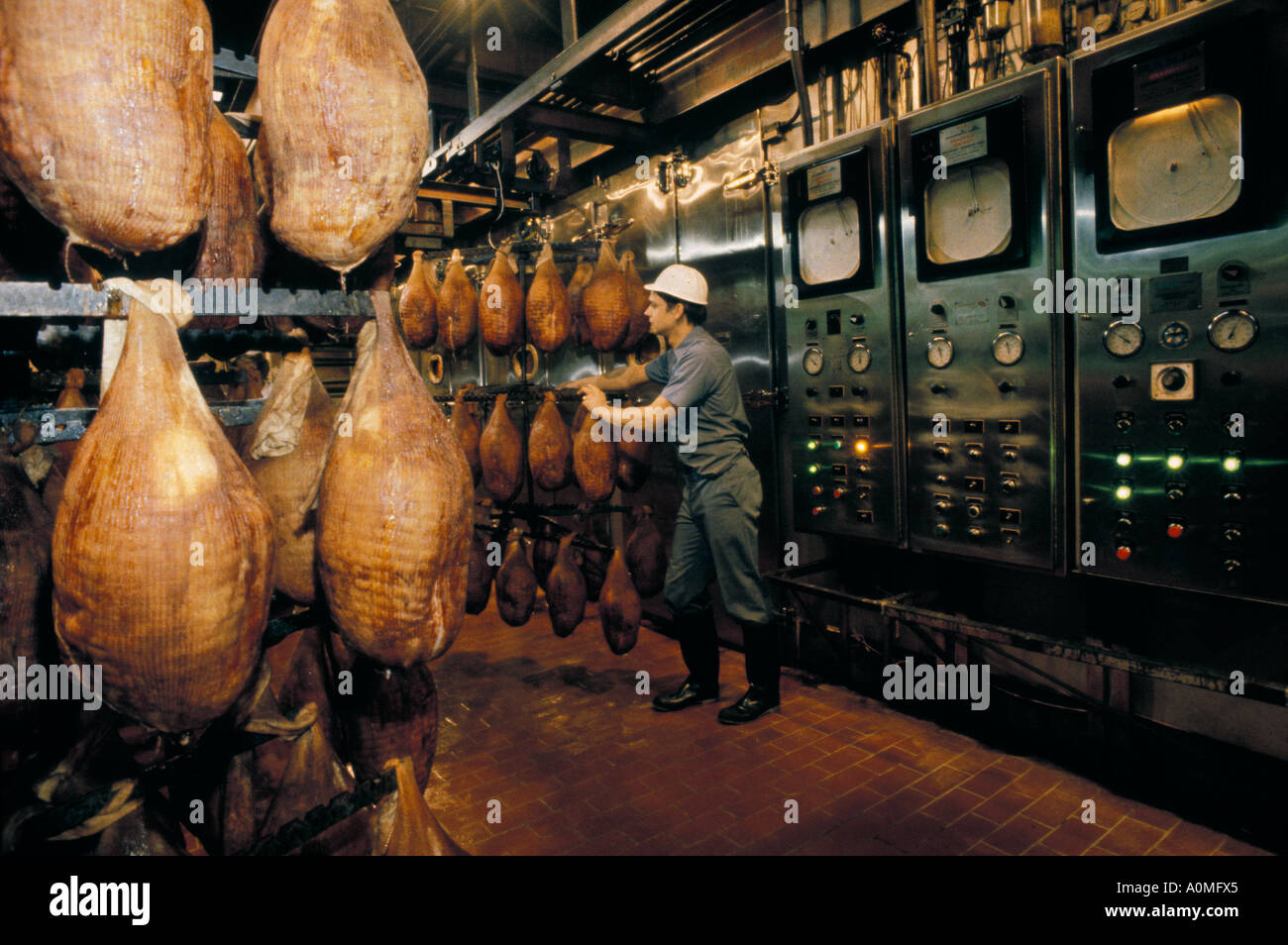 ham meat processing plant factory Hams smoked smoking oven prepare