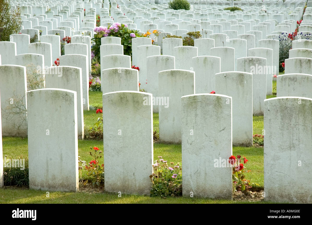 War Graves Flanders fields Belgium Stock Photo - Alamy