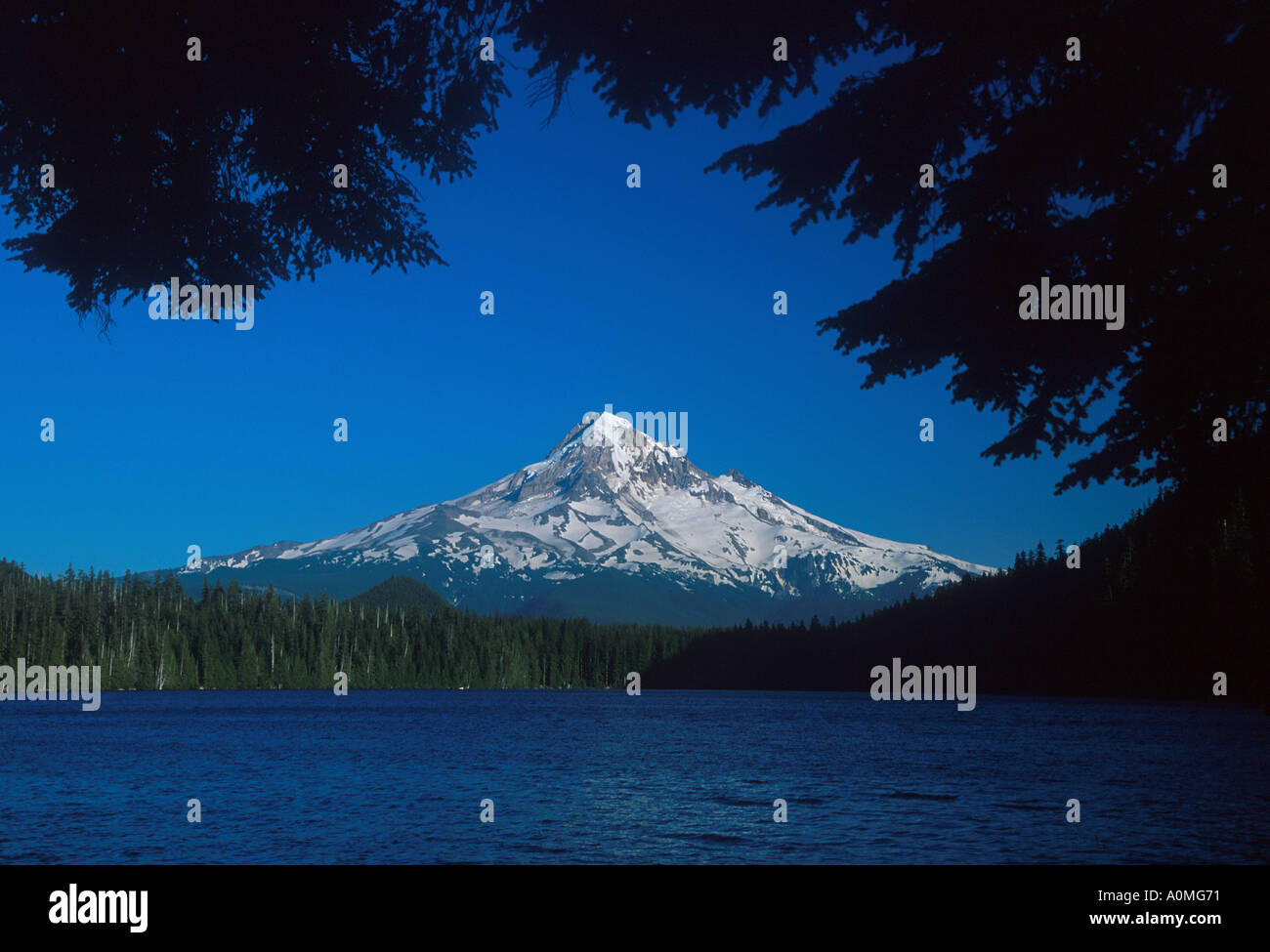 Oregon USA Mount Hood and Hood Lake Oregon State USA Stock Photo