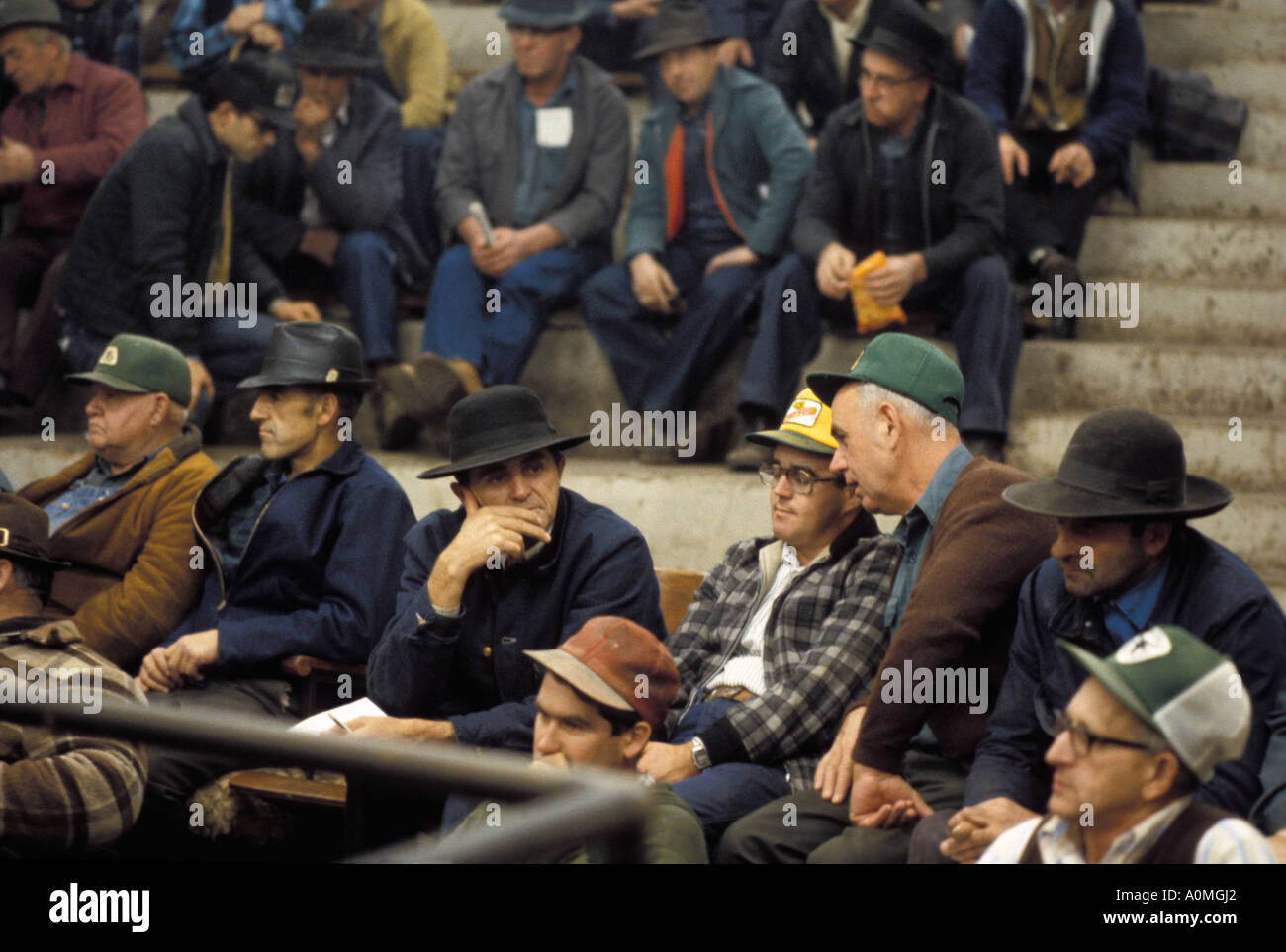 livestock auction ring stock yards Lancaster PA Pennsylvania Stock