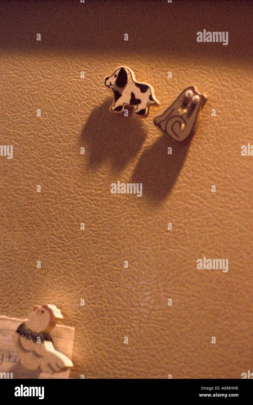 Close Up Refrigerator Magnets Dog Cat Chicken Vinyl Shadows Garage