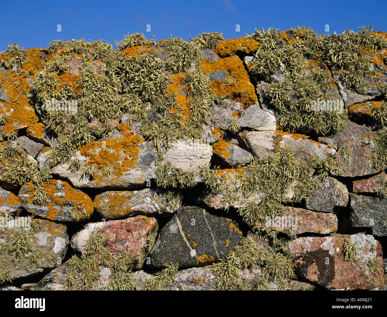 Lichen graveyard hi-res stock photography and images - Alamy