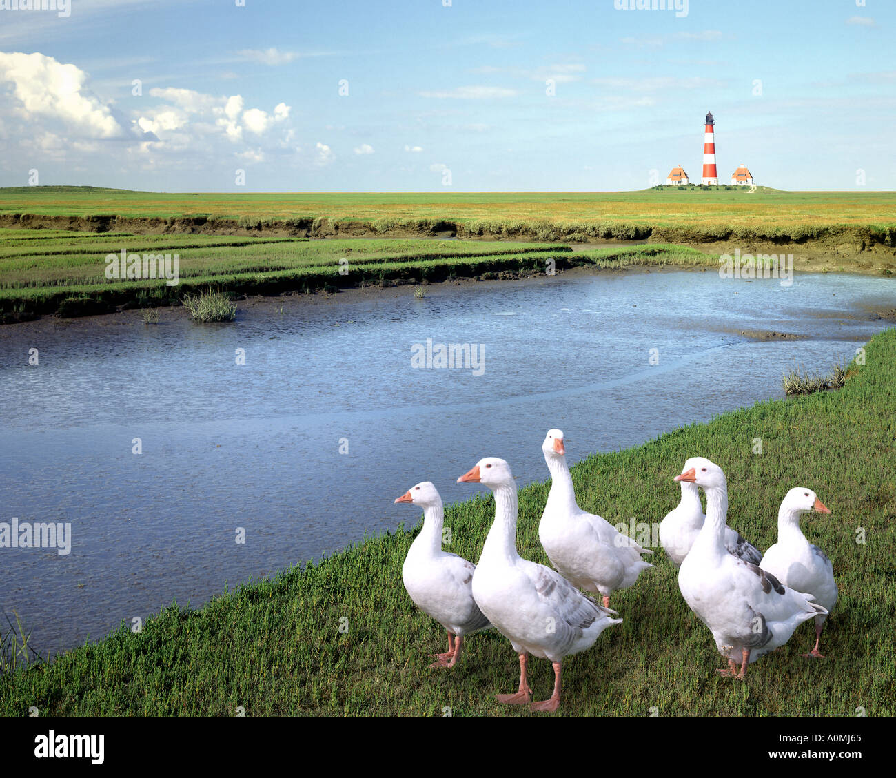 DE - SCHLESWIG HOLSTEIN: Westerhever Lighthouse Stock Photo