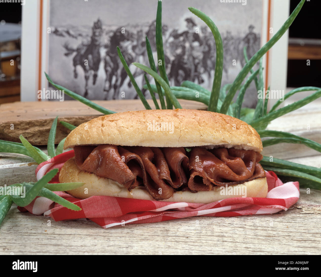 western scene roast beef steak sandwich roll sub cactus cacti Bon