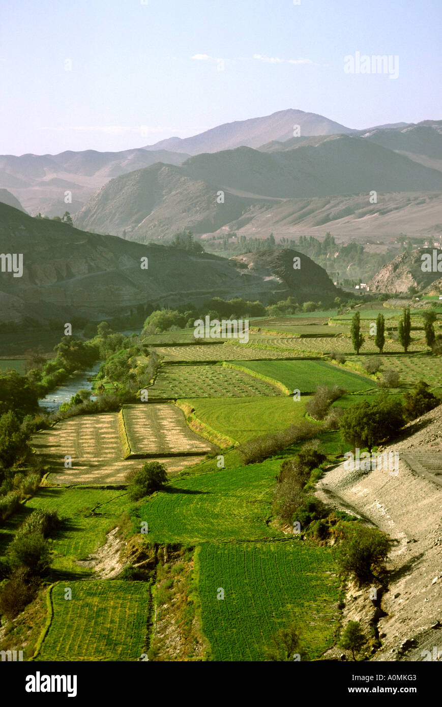 Peru majes river valley Arequipa agriculture fertile agricultural land