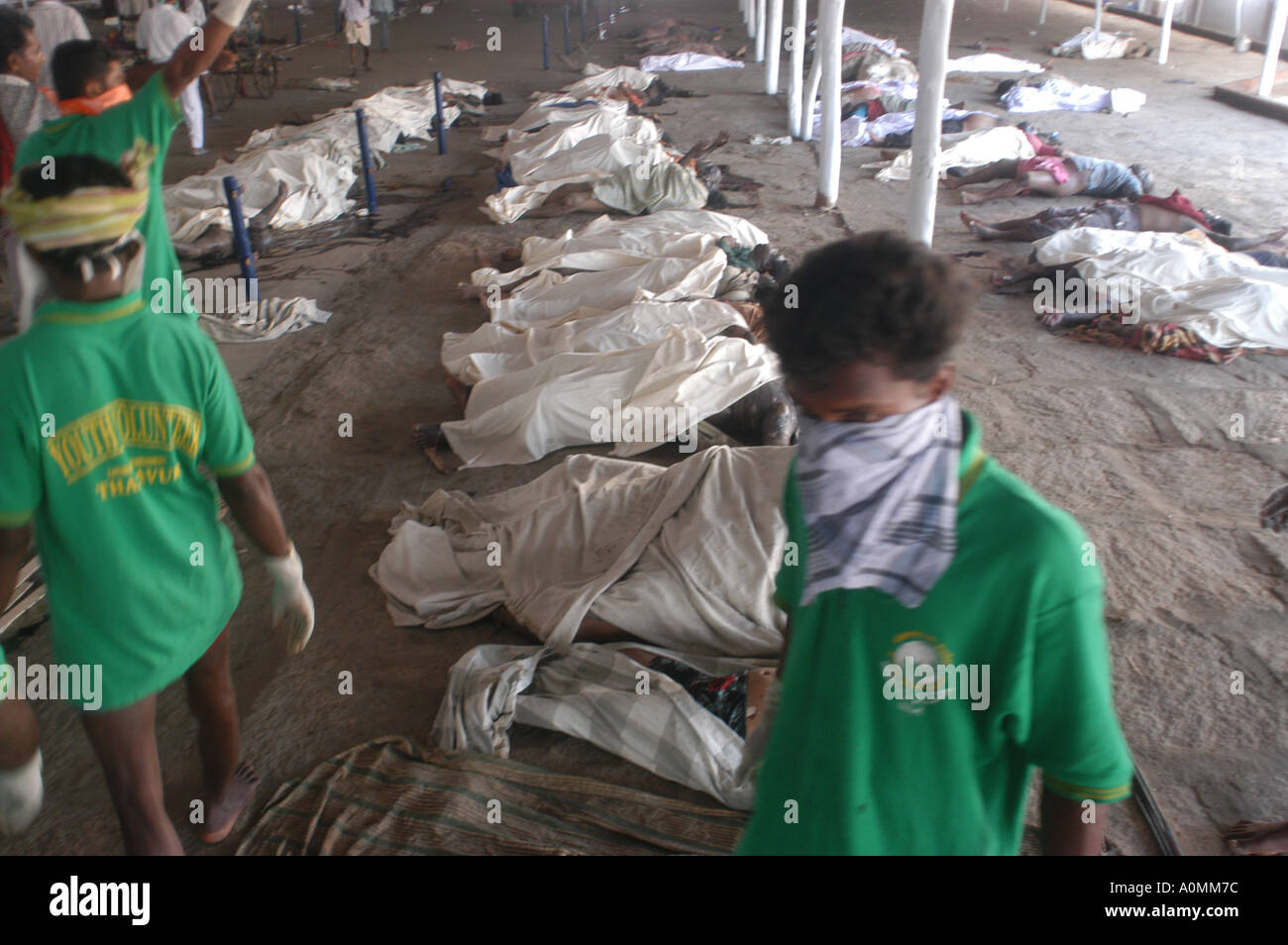 dead bodies for identification after Tsunami earthquake on sea floor Nagapattinum Velankanni Tamil Nadu Indian Ocean India Stock Photo
