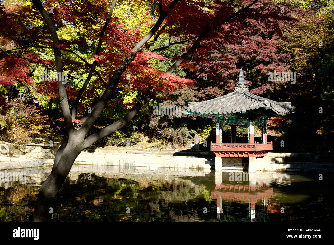 Pavilion and Pond at Changdeokgung Palace in Seoul Korea Stock Photo