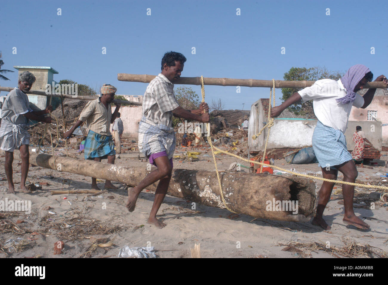 tree being transported by four people after Tsunami earthquake on sea floor Nagapattinum Velankanni Tamil Nadu India Stock Photo