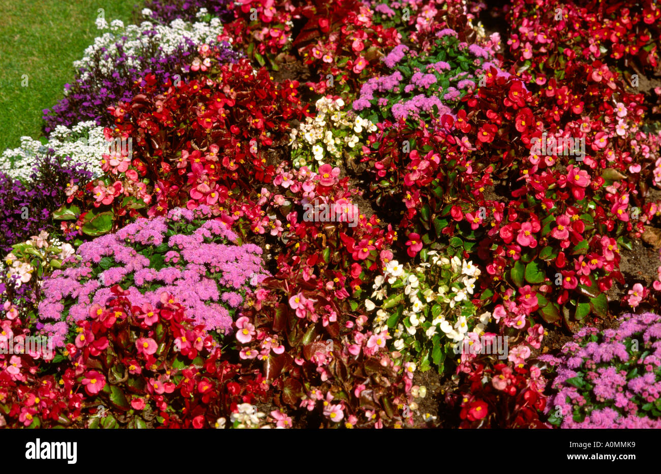 Cheshire Crewe floral display Stock Photo
