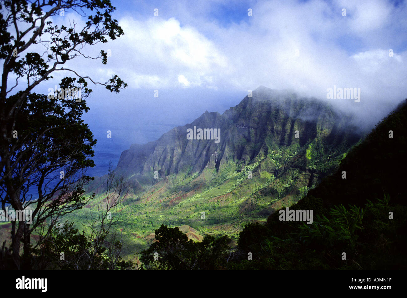 Kalalau Lookout Kokee State Park Waimea Canyon Kauai Hawaii USA Stock