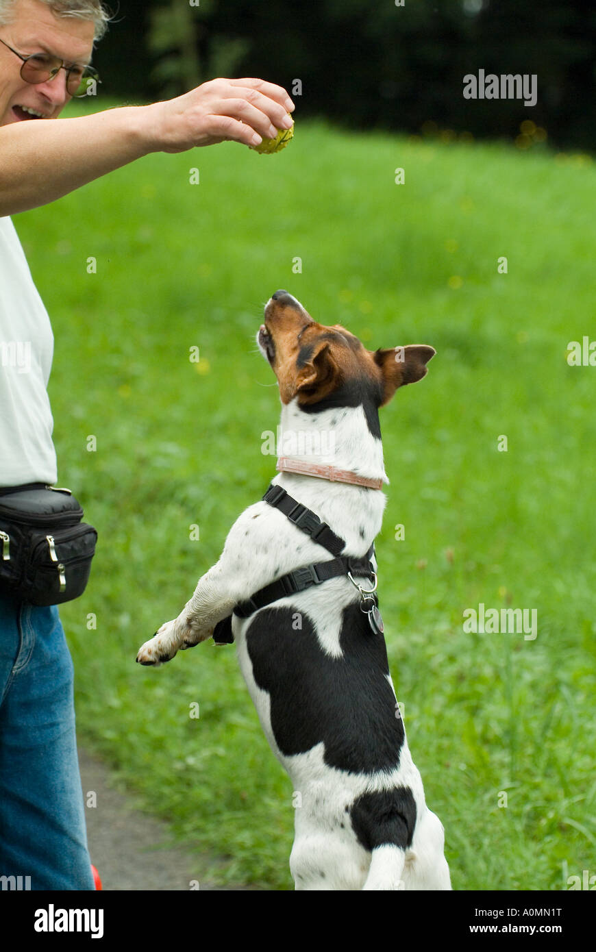 Jumping jack toy hi-res stock photography and images - Alamy