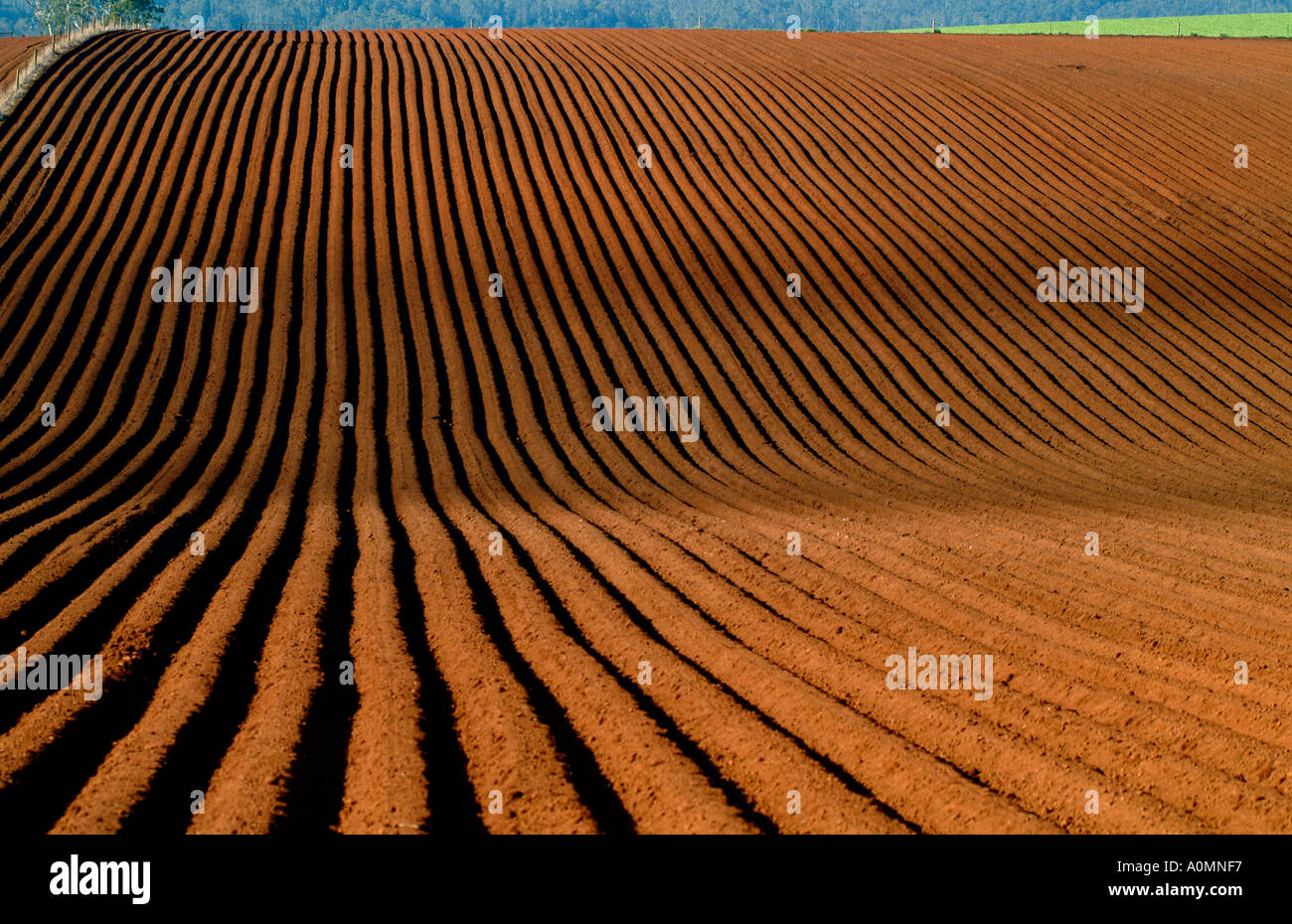 Rich soil hi-res stock photography and images - Alamy