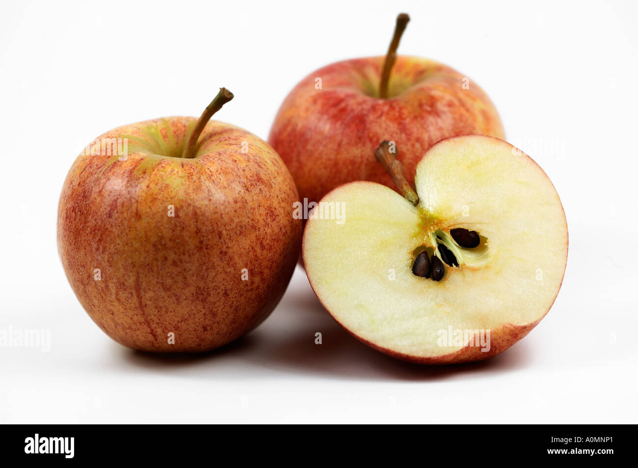 Royal Gala Apples Stock Photo Alamy