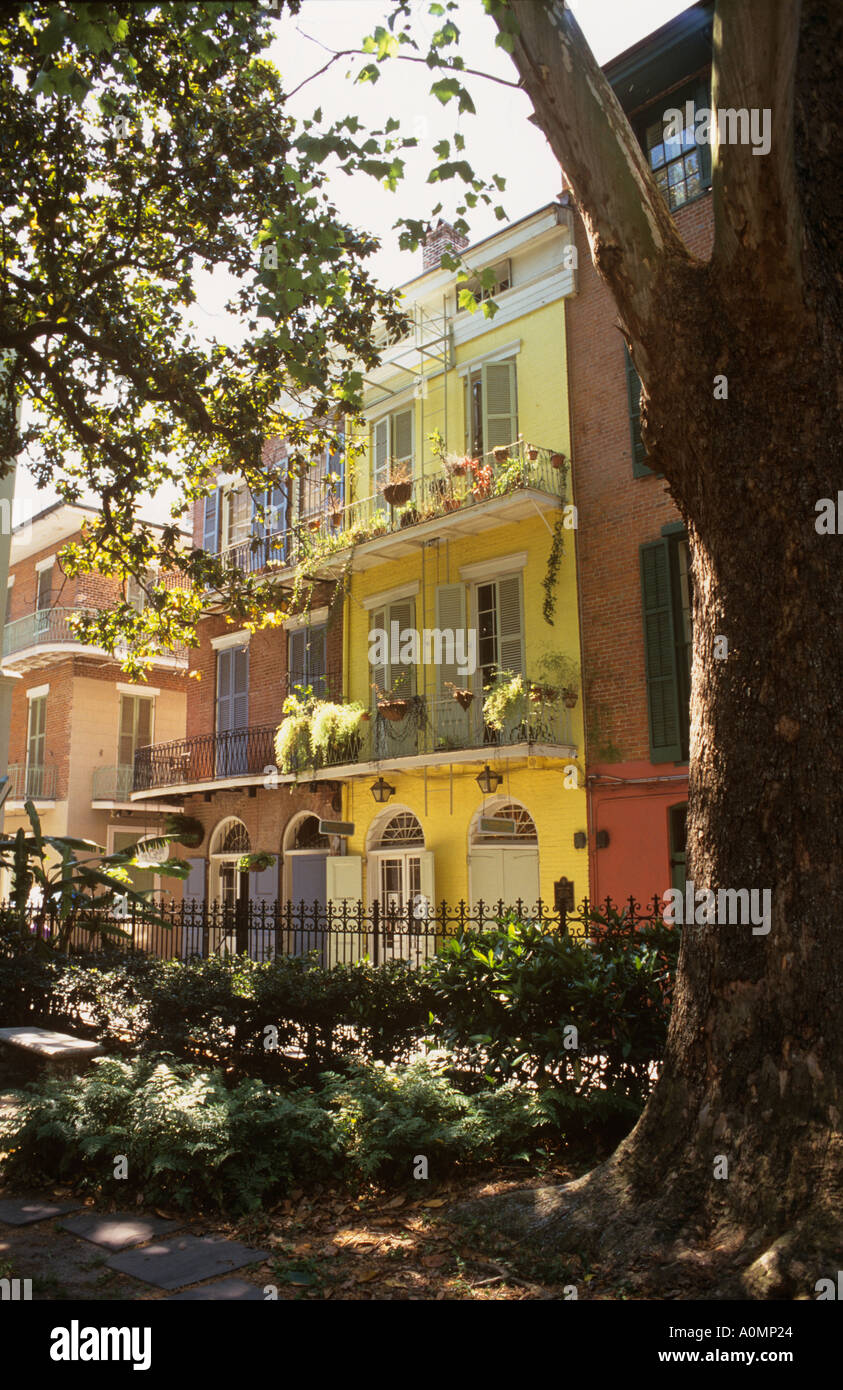 Faulkner House Pirates Alley New Orleans USA Stock Photo Alamy