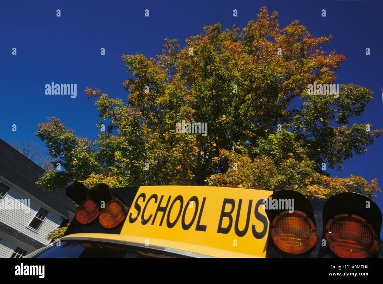 yellow school bus blue sky fall foilage autumn Stock Photo