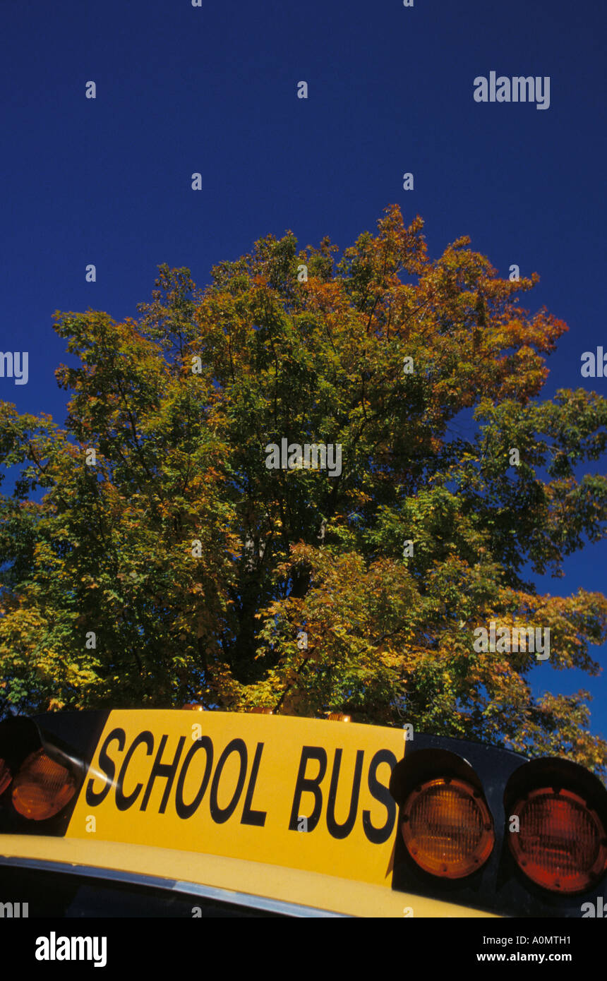 yellow school bus blue sky fall foilage Stock Photo