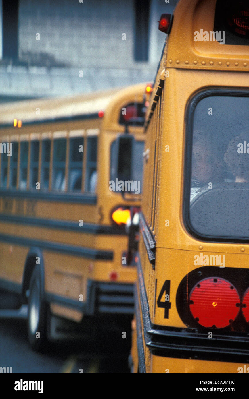 yellow school bus buses Stock Photo