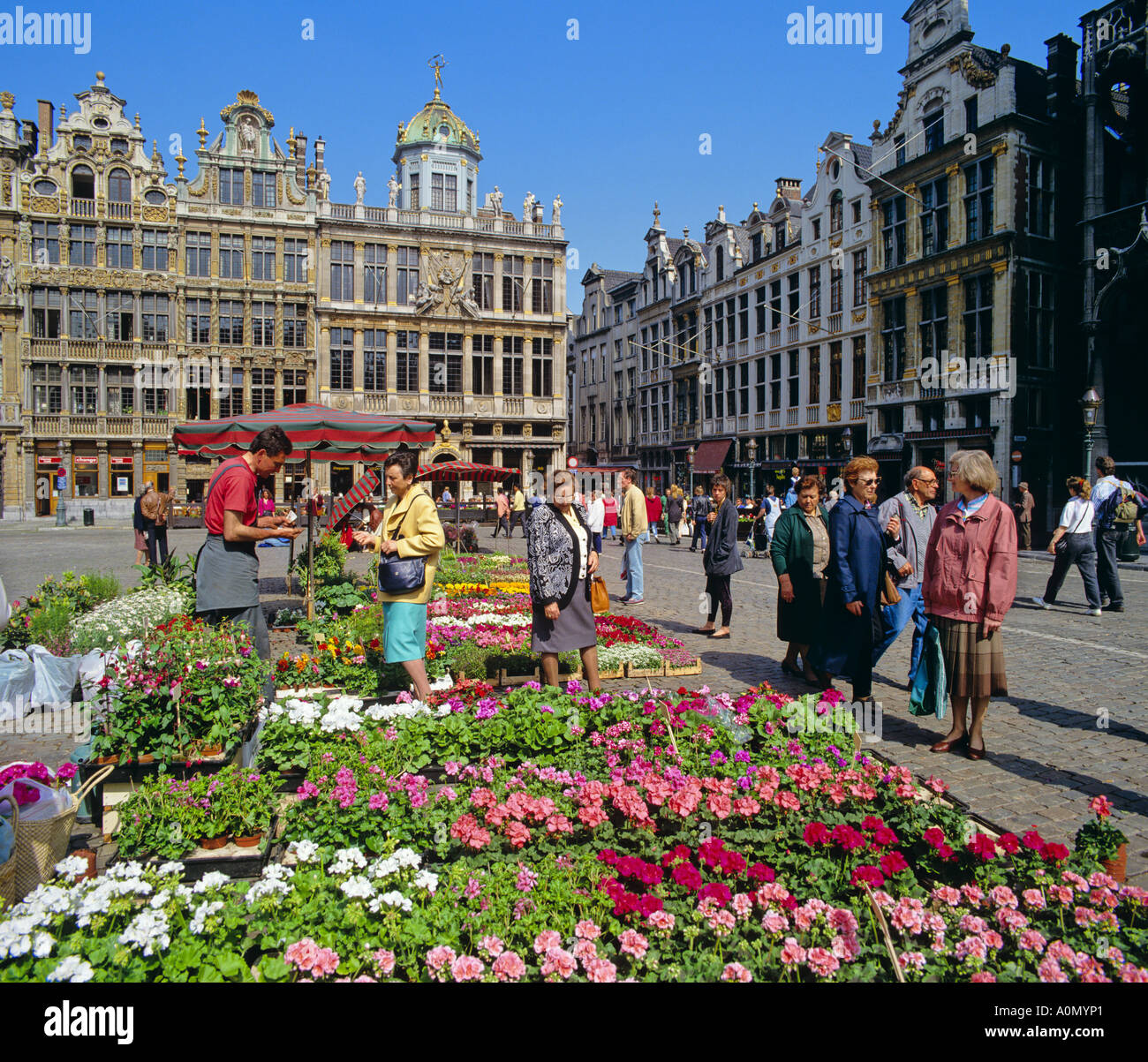 Flower Market Grand Place Brussels Belgium Stock Photo Alamy