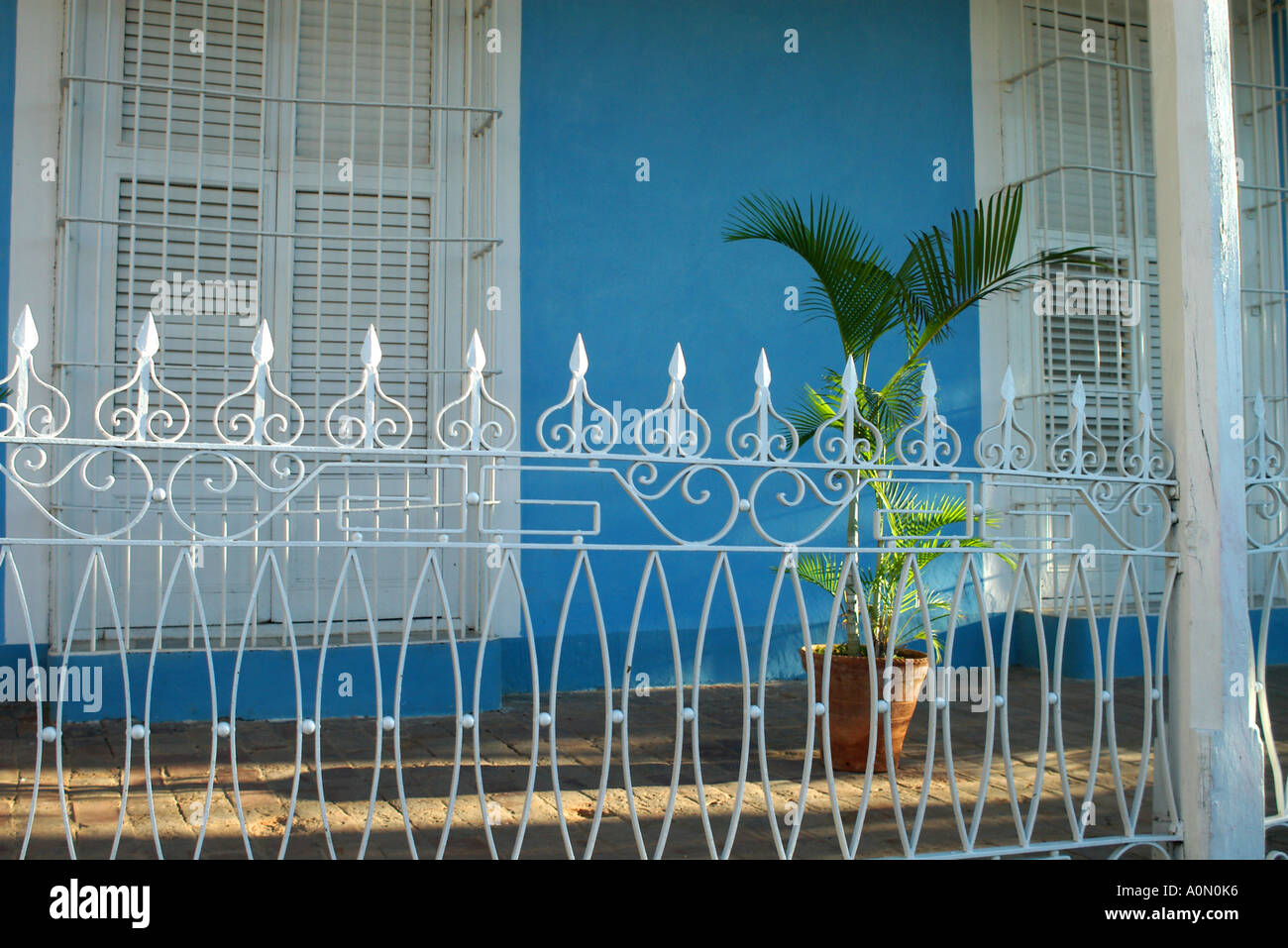 Traditional building and railings and tropical plant, Trinidad, Cuba