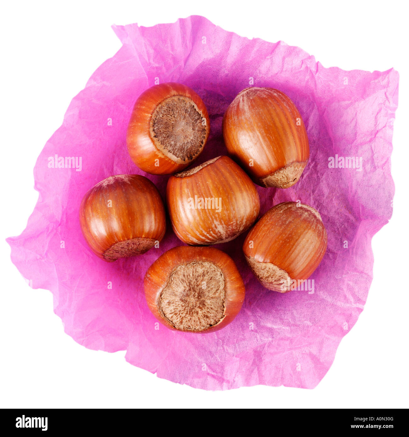 HAZELNUTS CUT OUT Stock Photo Alamy