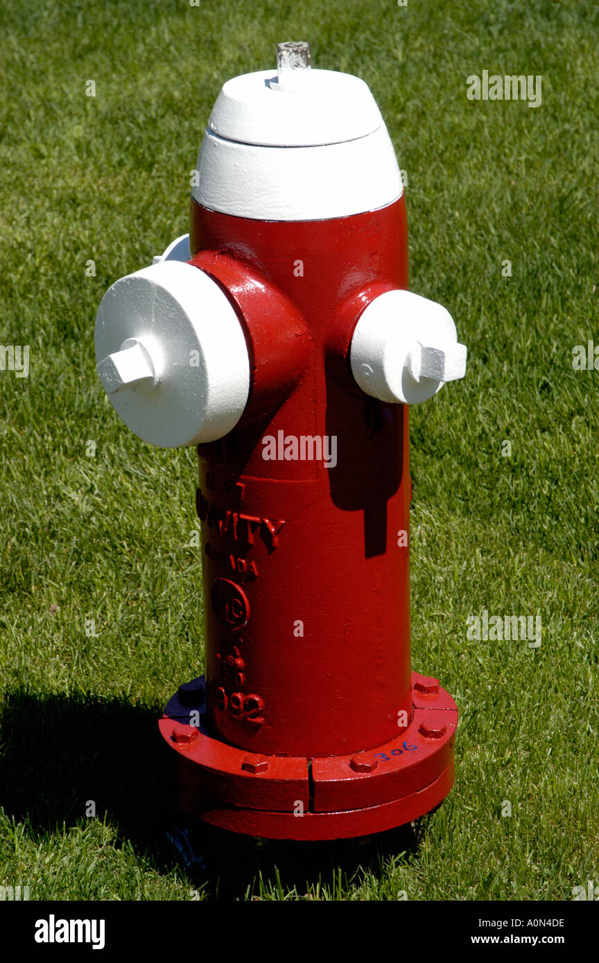 Red and white fire hydrant Stock Photo Alamy