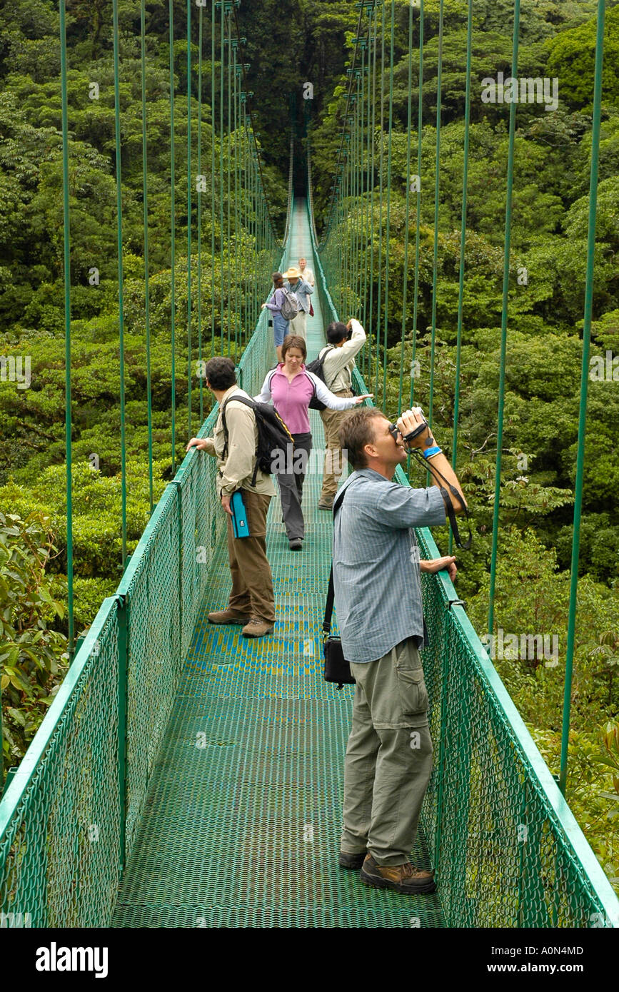 Tourists Spotting Wildlife on Suspension Bridges in Monteverde Canopy,  Monteverde, Santa Elena, Costa Rica, Central America Stock Photo - Alamy