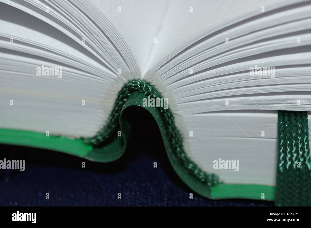 Green open book hi-res stock photography and images - Alamy