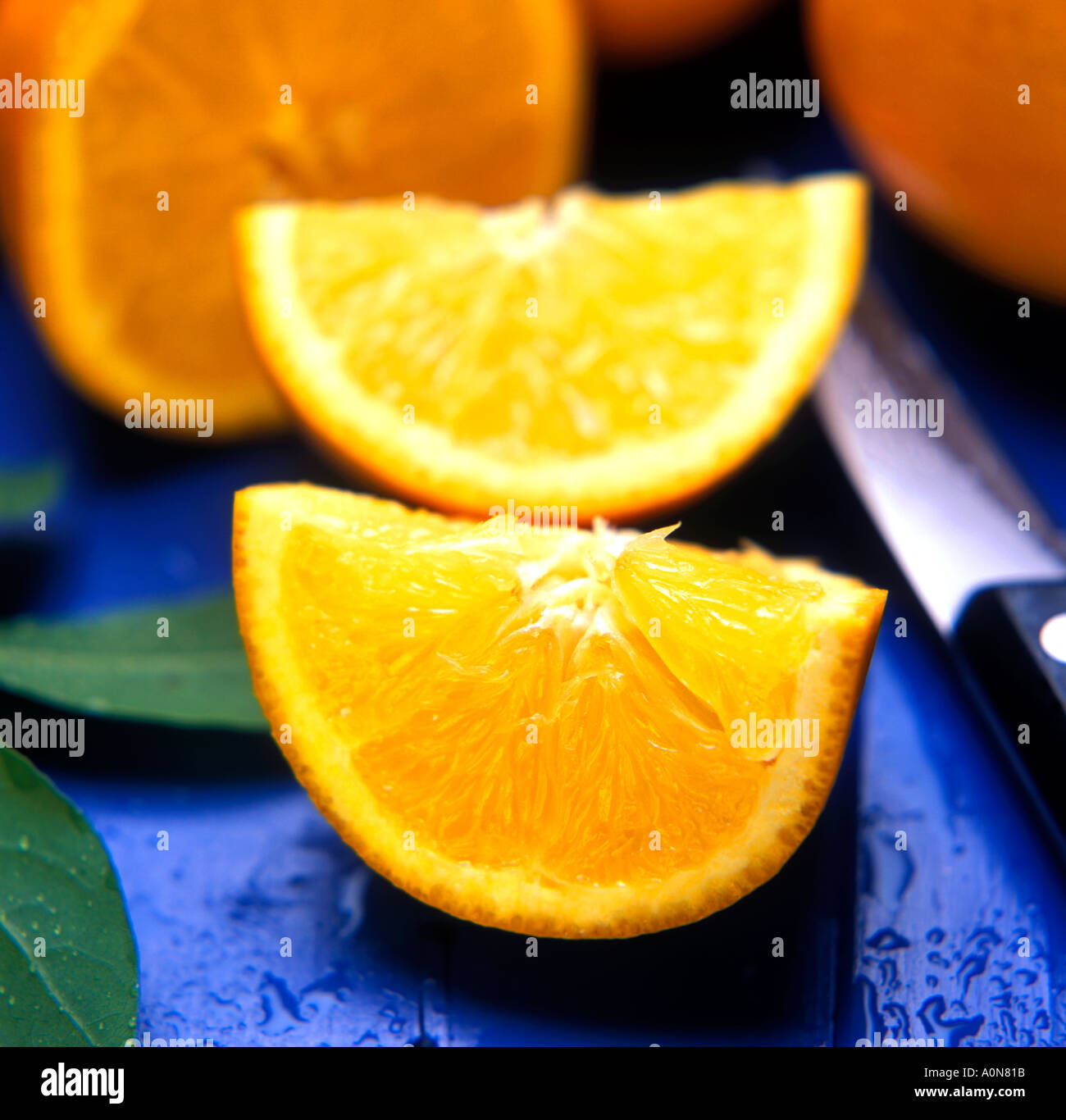 food fruit oranges stilllife Stock Photo - Alamy