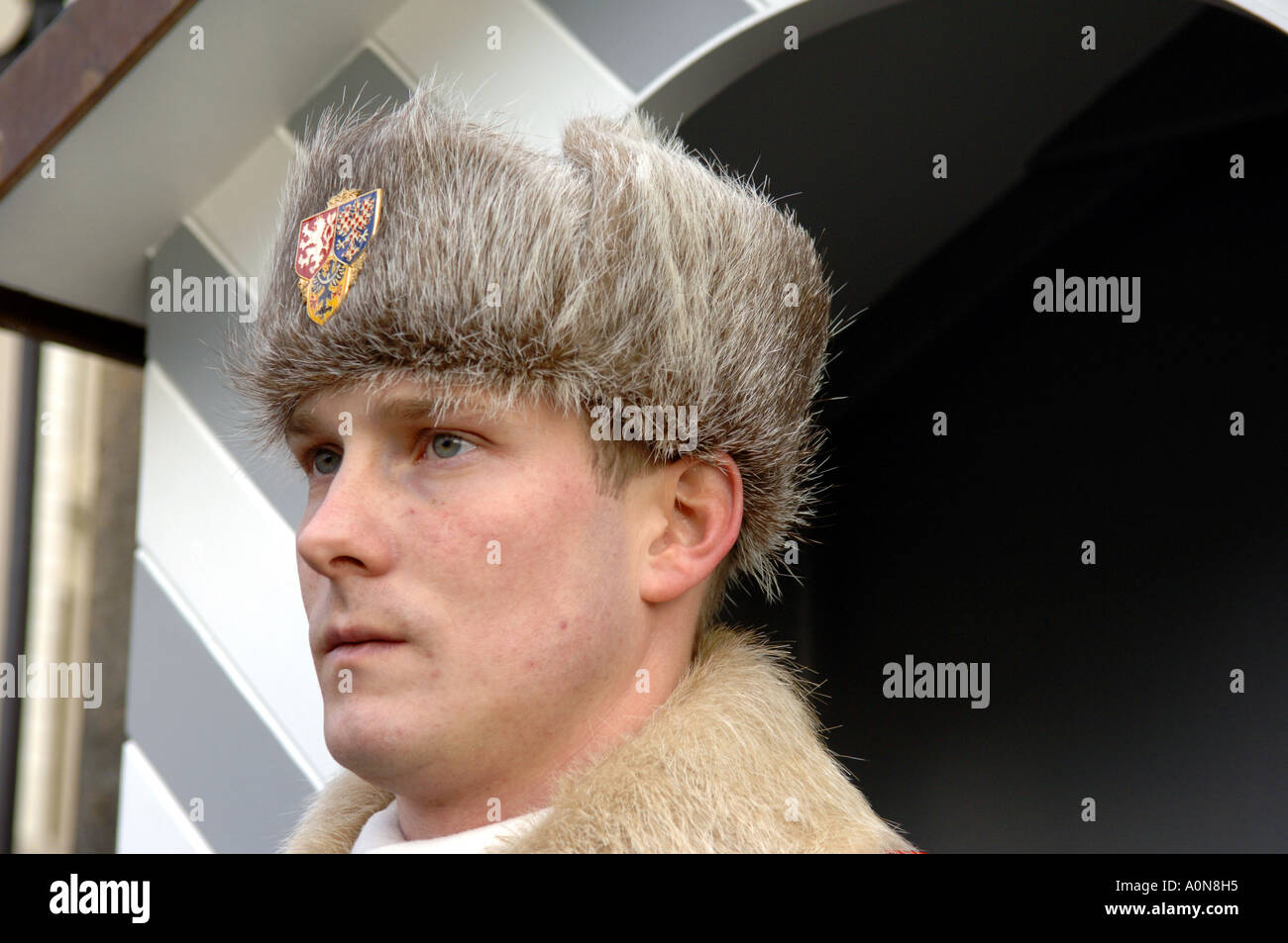 imperial palace guard soldier winter uniform hat cold fur skin official