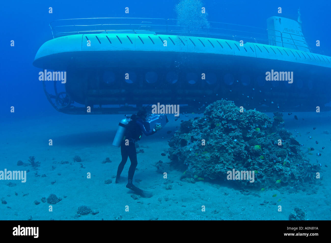 Atlantis hi-res stock photography and images - Alamy