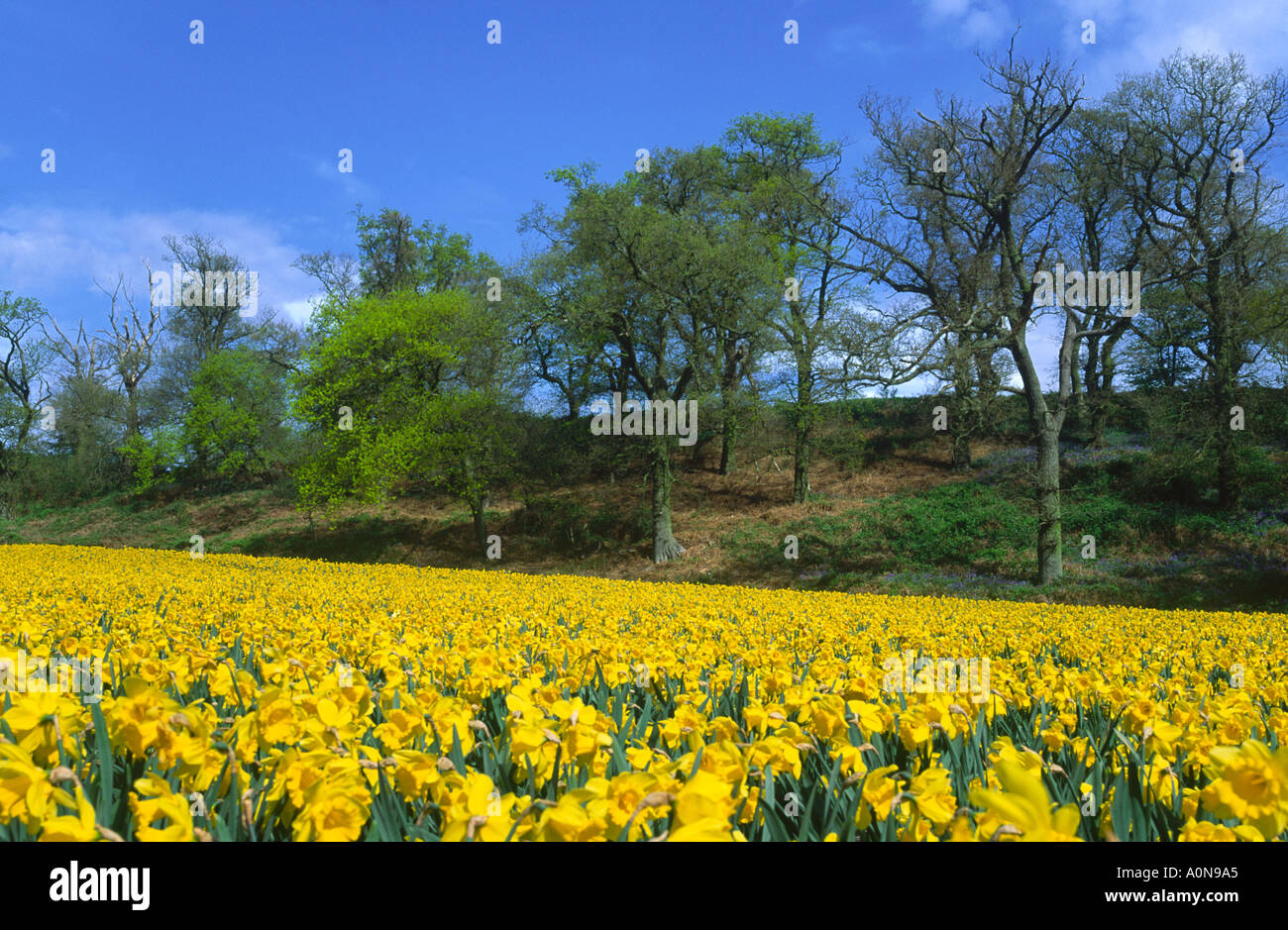 Cultivated farm farming hi-res stock photography and images - Alamy
