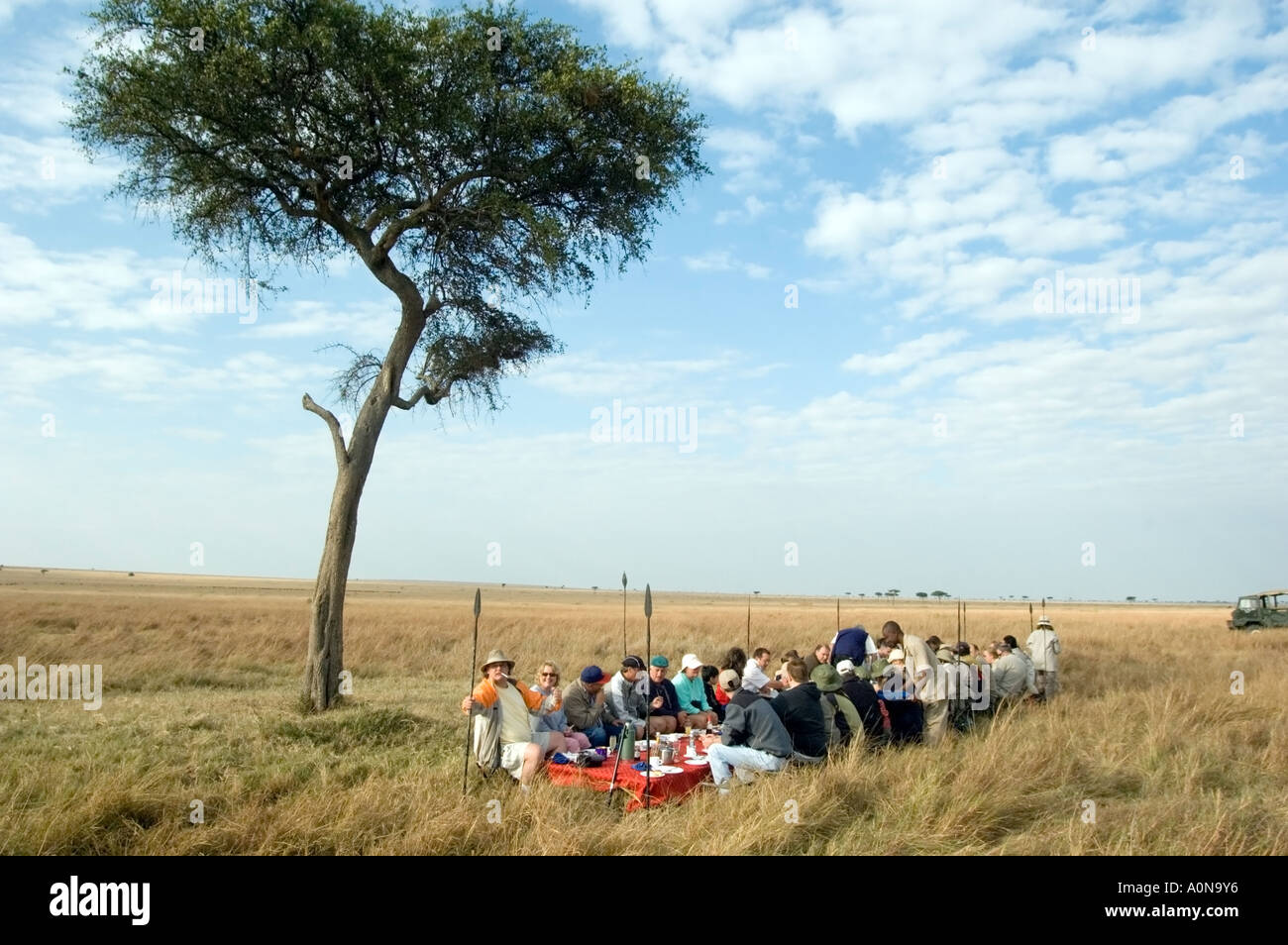 Champagne breakfast at sunrise after a hot air balloon ride over the Masai Mara Game Reserve, Kenya, East Africa. Stock Photo