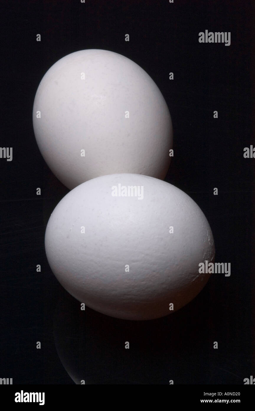Two chicken eggs on black background still life Stock Photo - Alamy