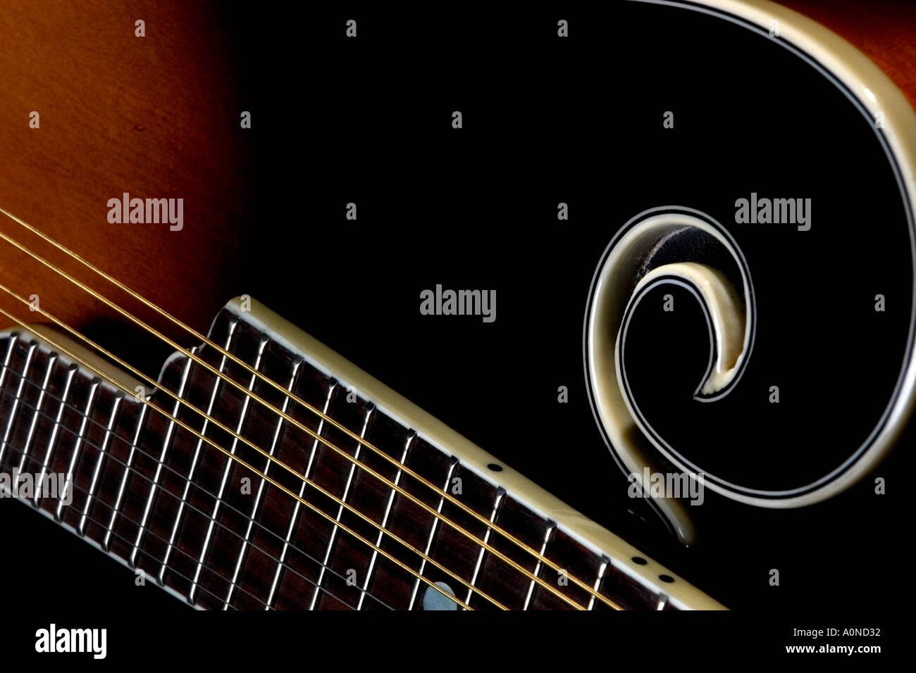 Close up of mandolin body with strings and fingerboard Stock Photo Alamy