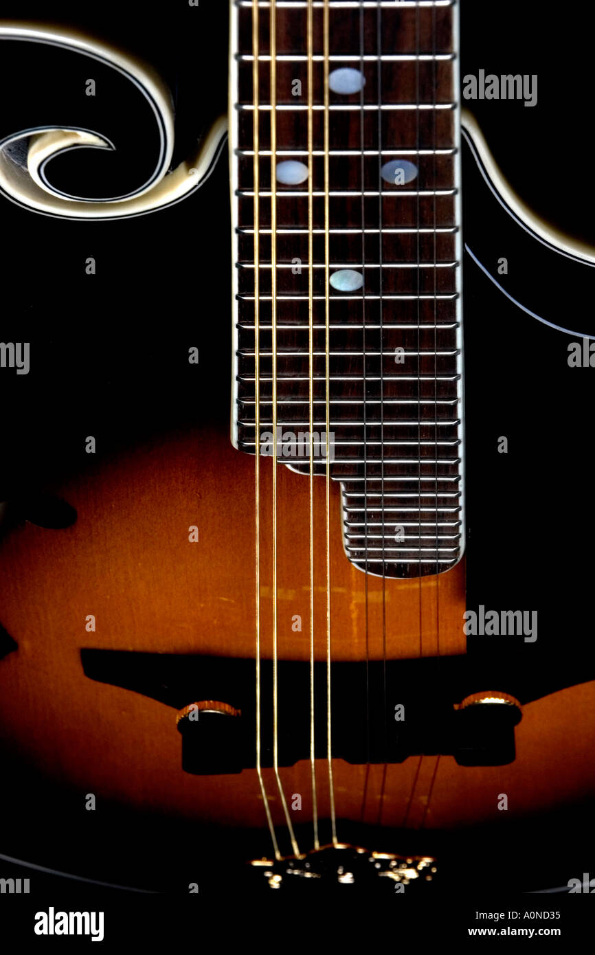 Closeup of mandolin body showing strings and scroll Stock Photo Alamy