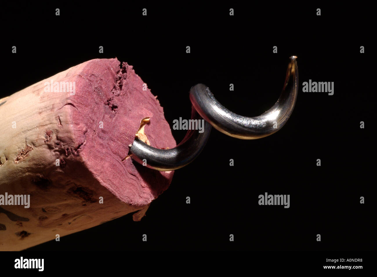 Close-up of wine cork and cork screw. Stock Photo