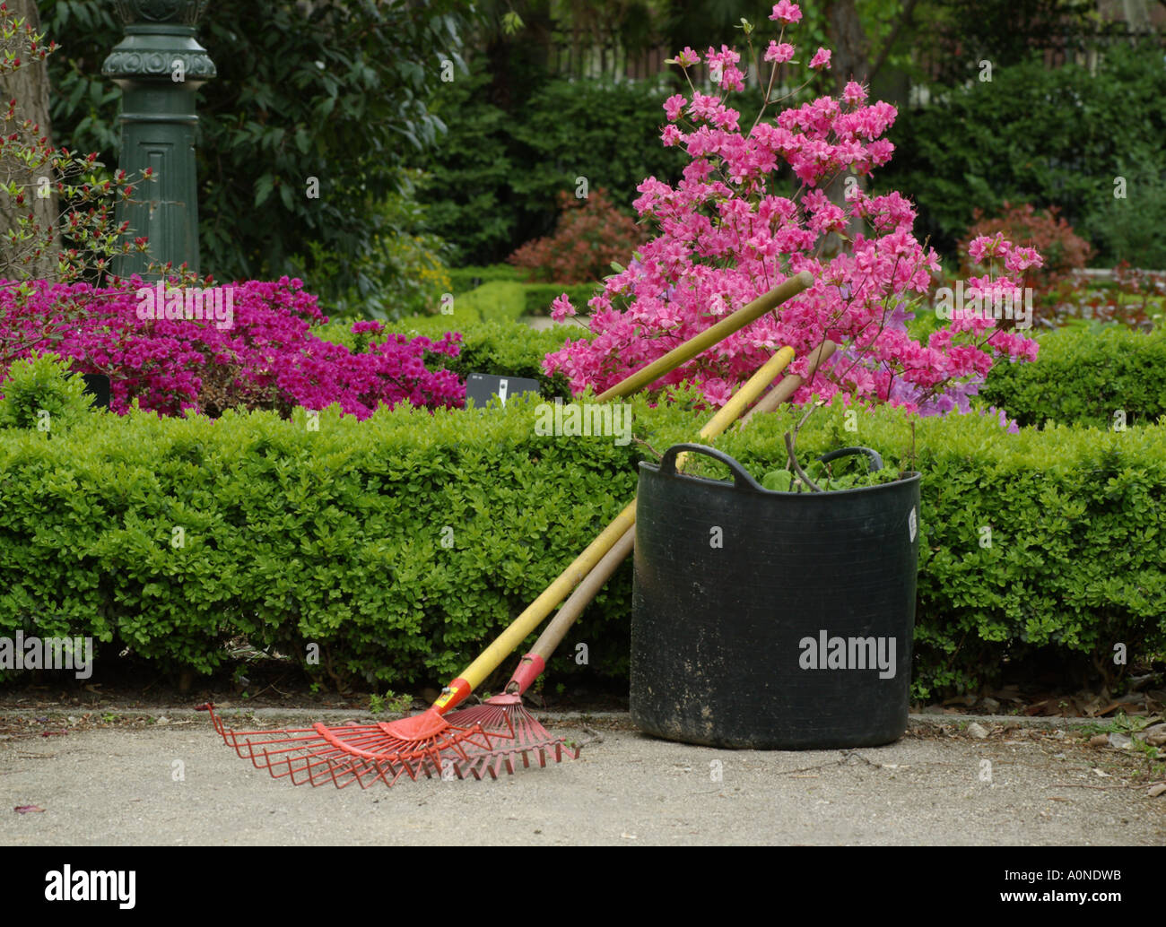 Garden tools in boxwood and rhododendron. Stock Photo