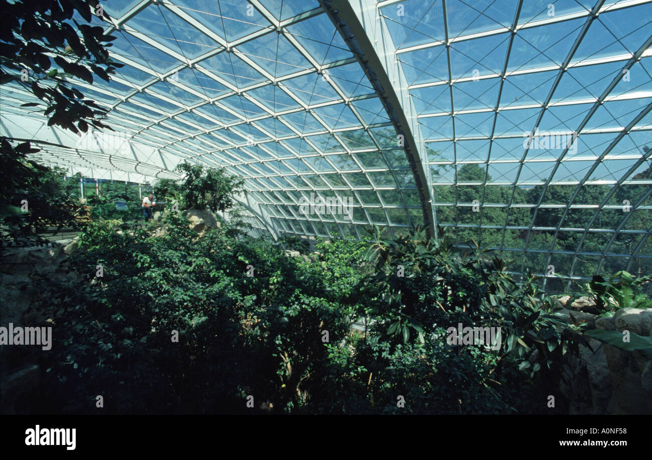 Rainforest house zoo schoenbrunn vienna hires stock photography and