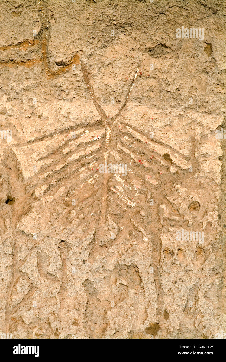 Rock art petroglyphs carved into ancient shoreline on cliff in Lava