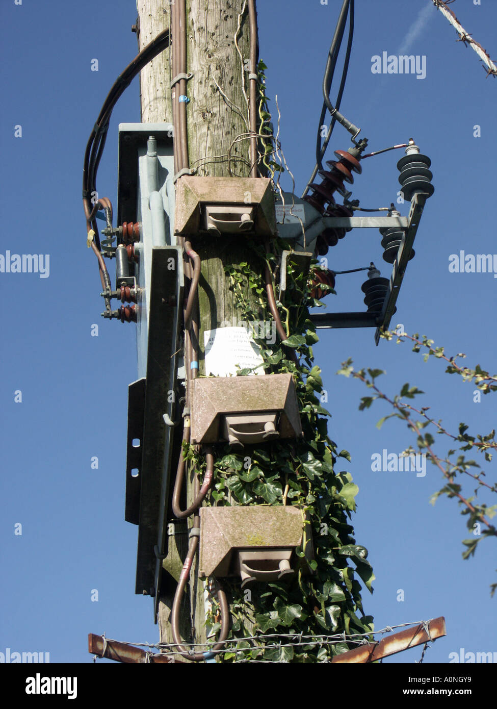 Electricity cables above ground supplying a rural area Stock Photo Alamy