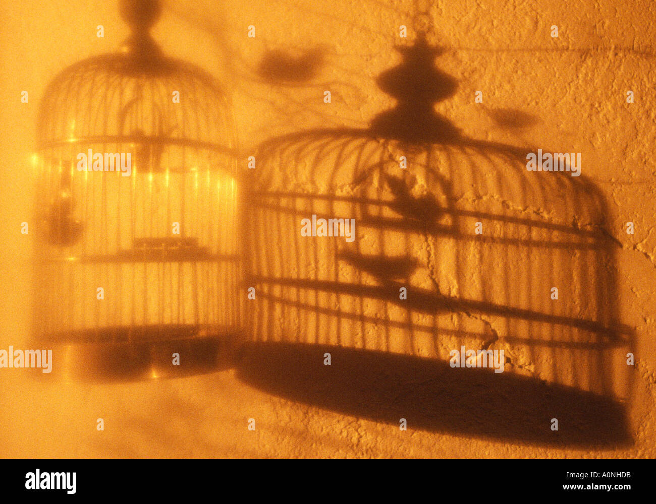 bird cage abstract Stock Photo Alamy