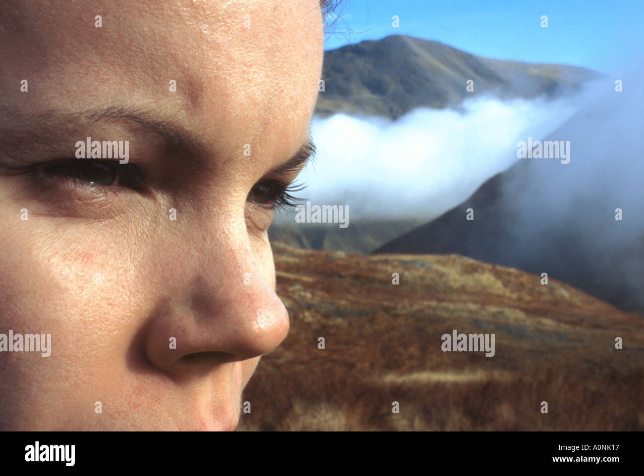 Transfixed High Resolution Stock Photography and Images - Alamy