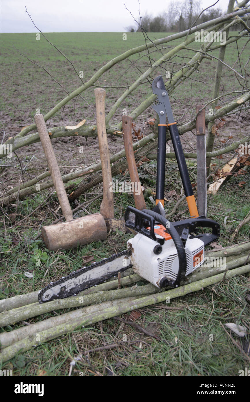 Hedge laying tools Stock Photo 3277101 Alamy