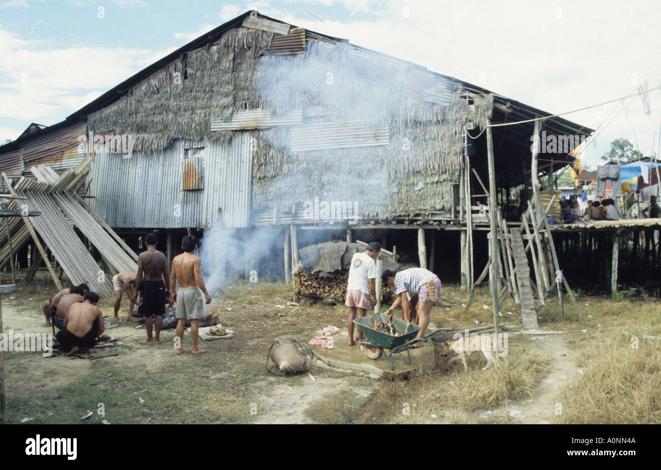 Preparing pigs and chickens for the feast at the Dayak longhouse on Rajang river Sarawak Malaysia Stock Photo