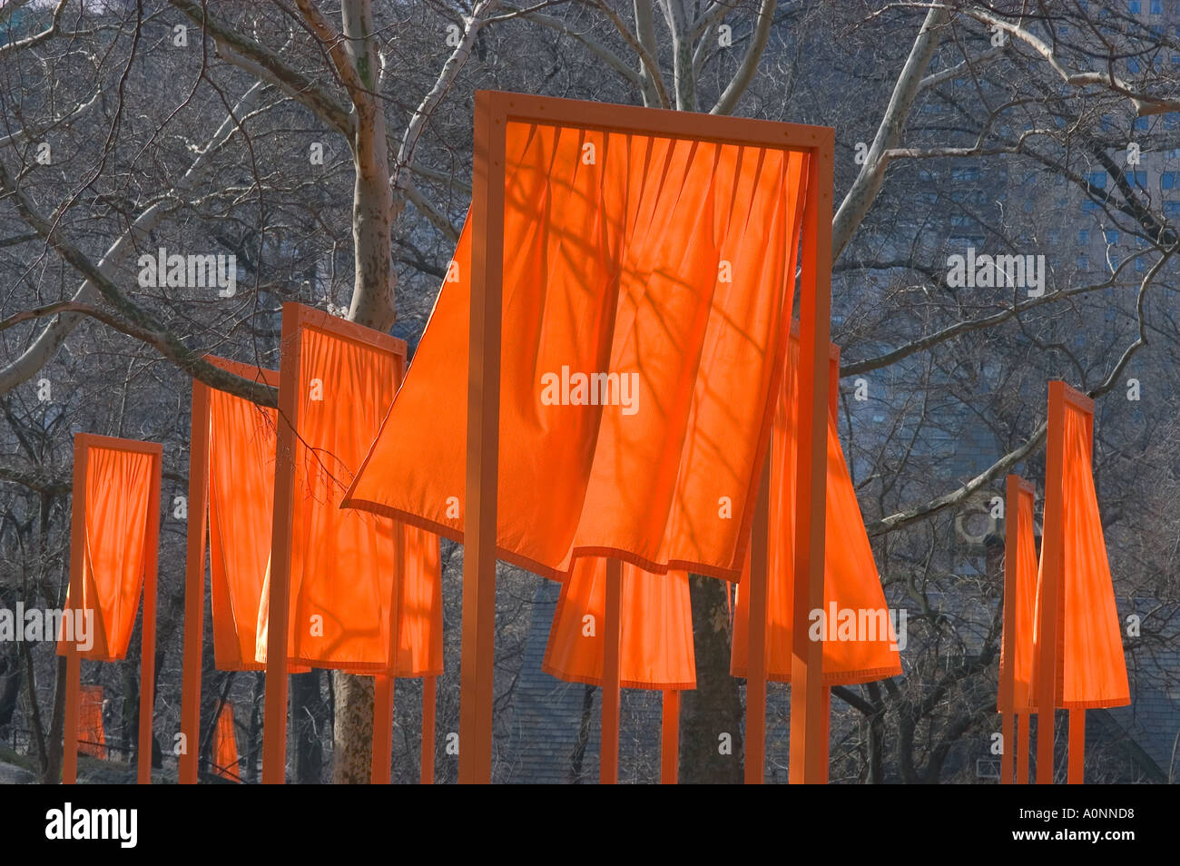 THE GATES, Art event by Christo and Jeanne Claude, CENTRAL PARK NEW