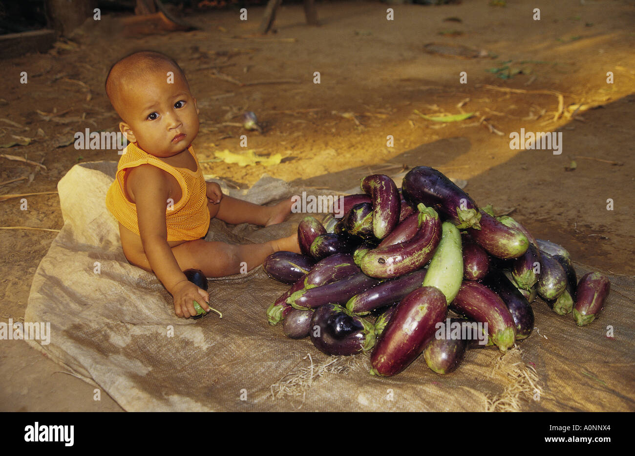 Página 8  Fotos Baby Alien, 66.000+ fotos de arquivo grátis de alta  qualidade