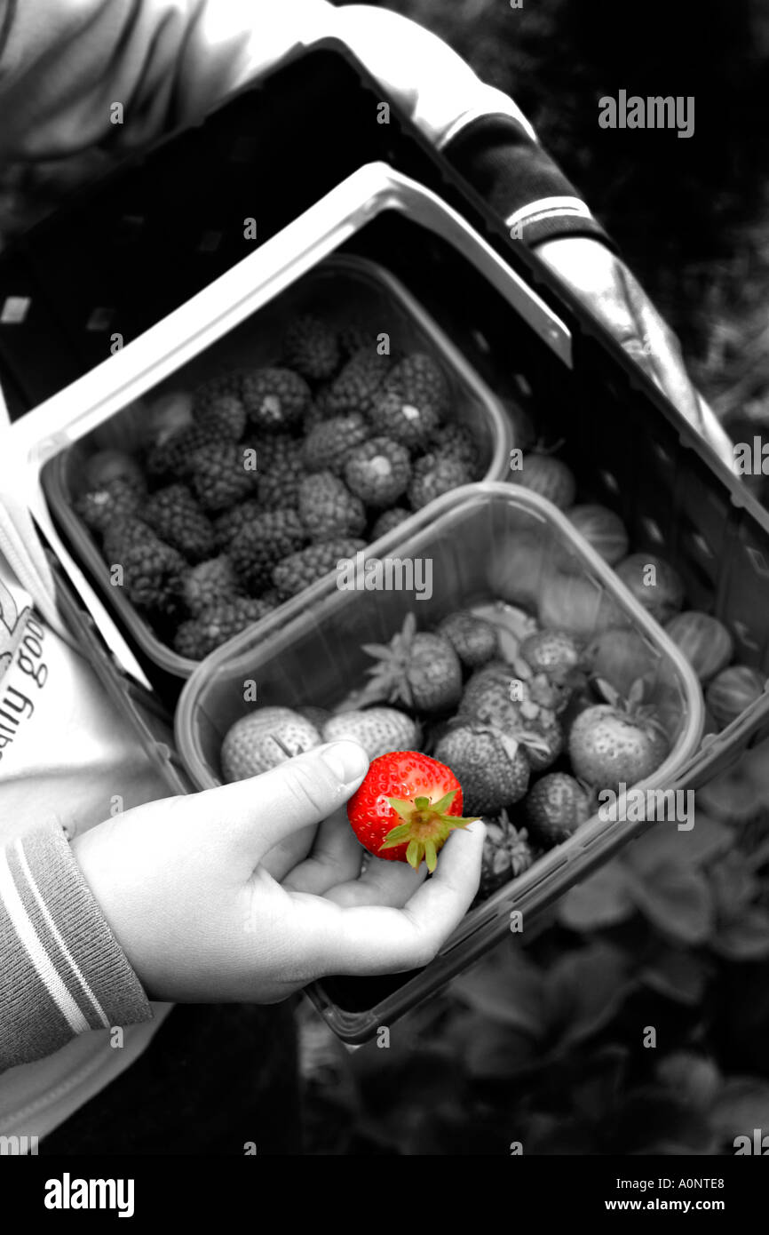 Person Holding Fruit Basket With Fruit In Hand Stock Photo