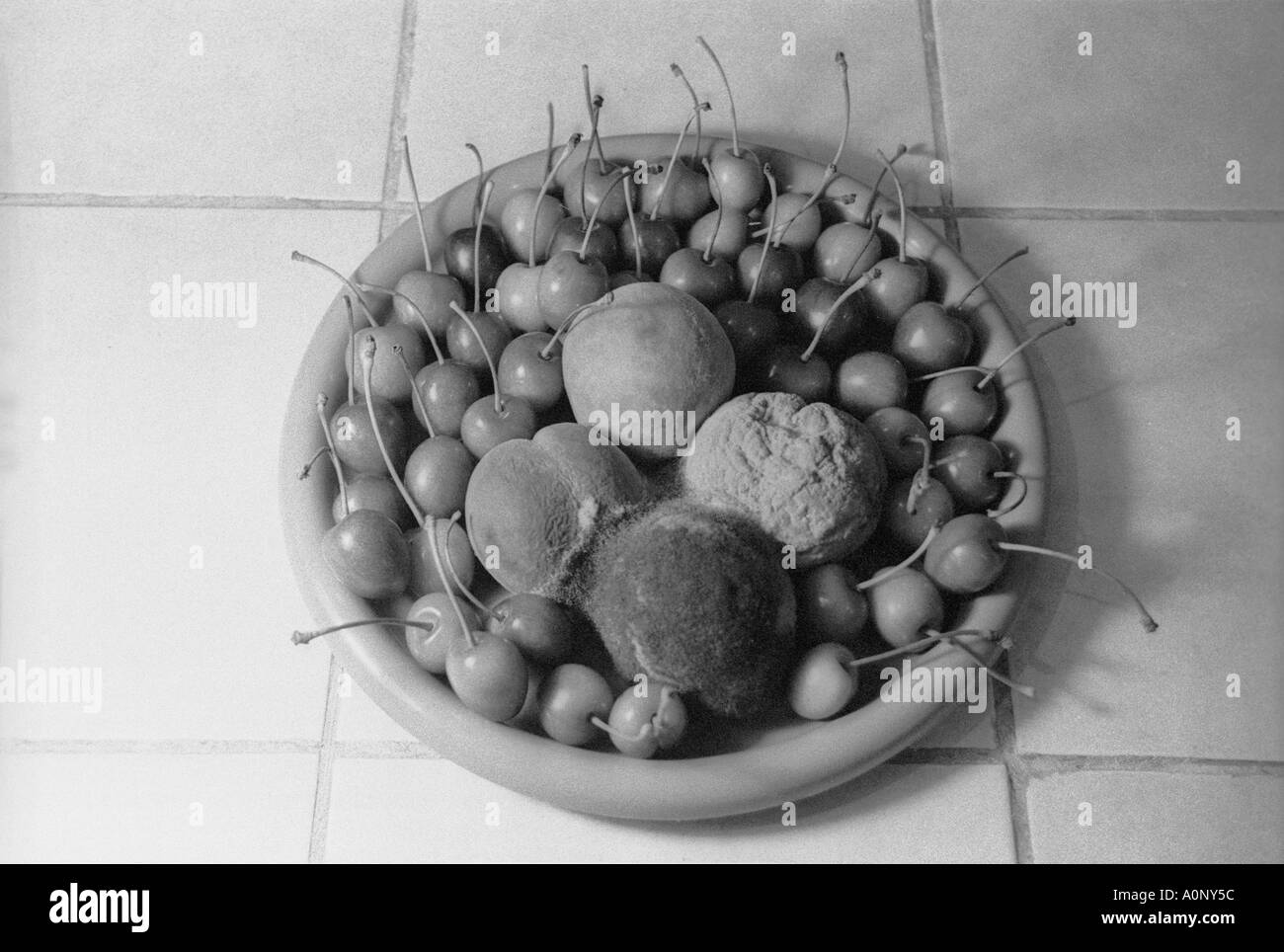 Rotting Fruit Combined With Fresh Fruit Stock Photo